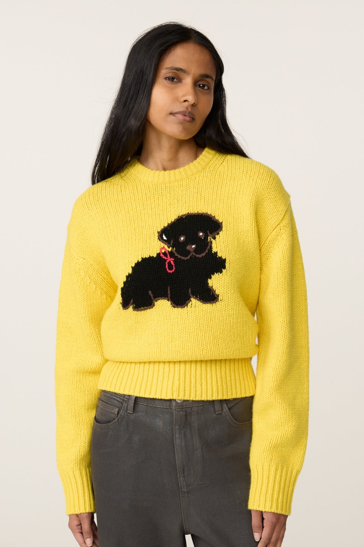 Dog Sweater