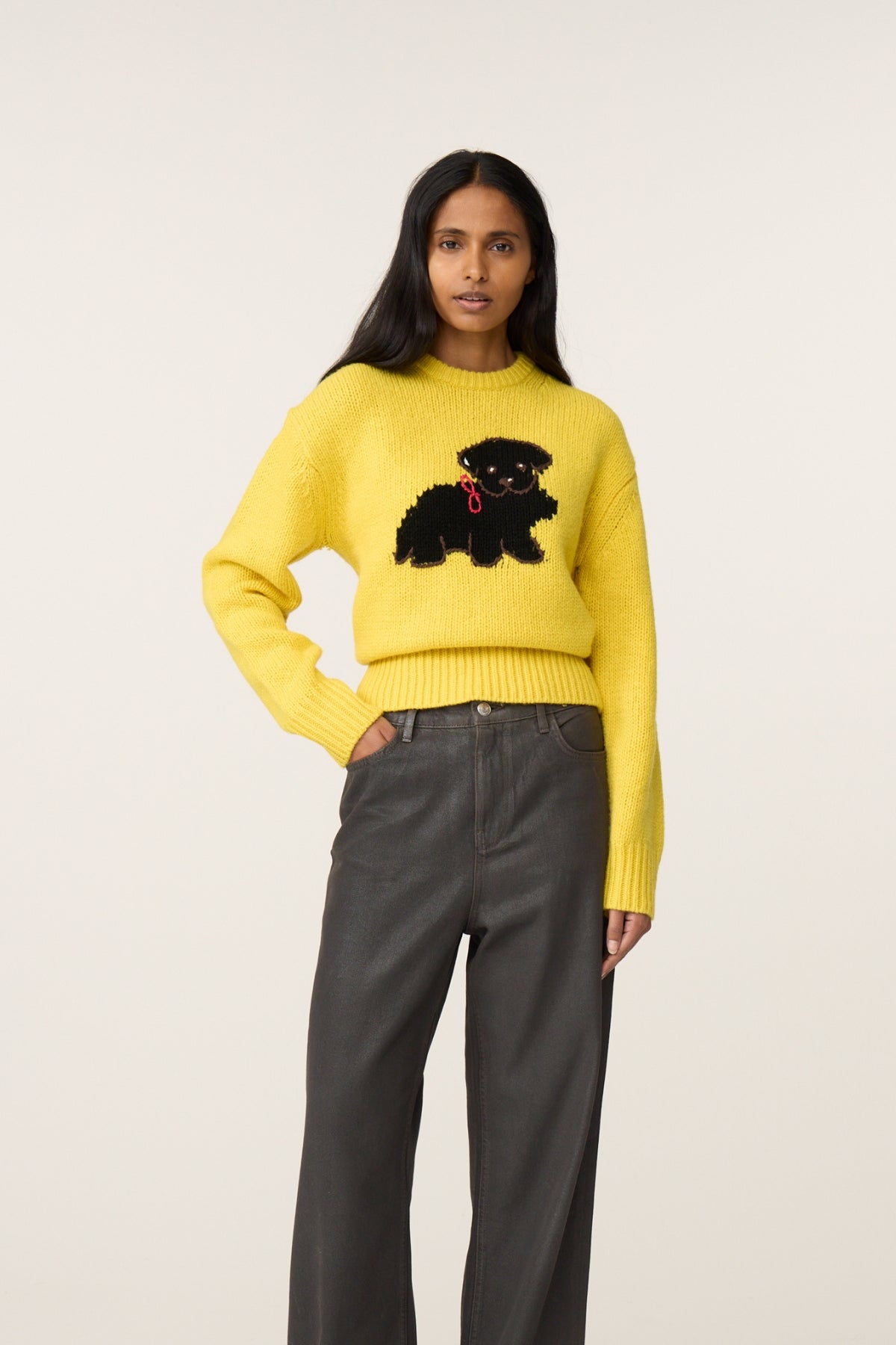 Dog Sweater