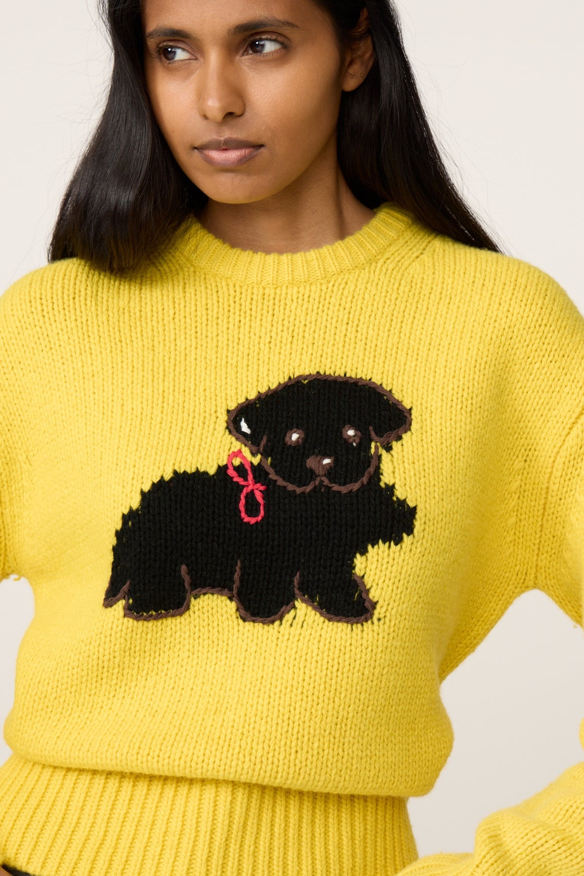 Dog Sweater